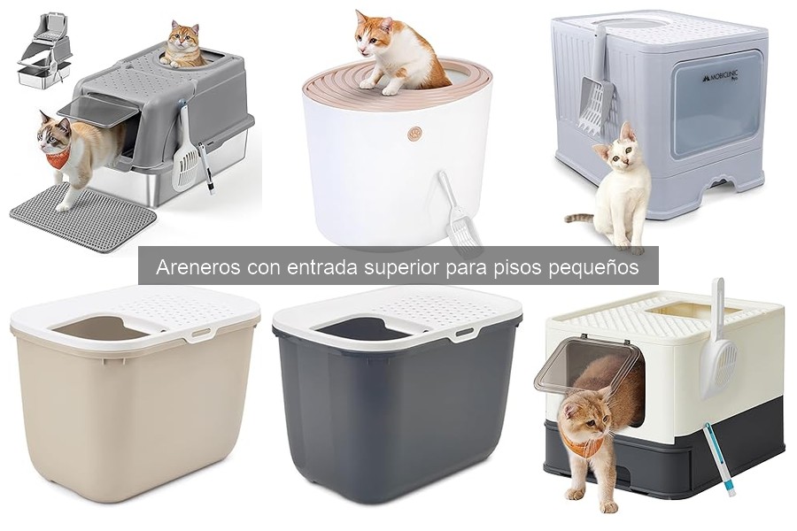 Areneros con entrada superior: características y ventajas