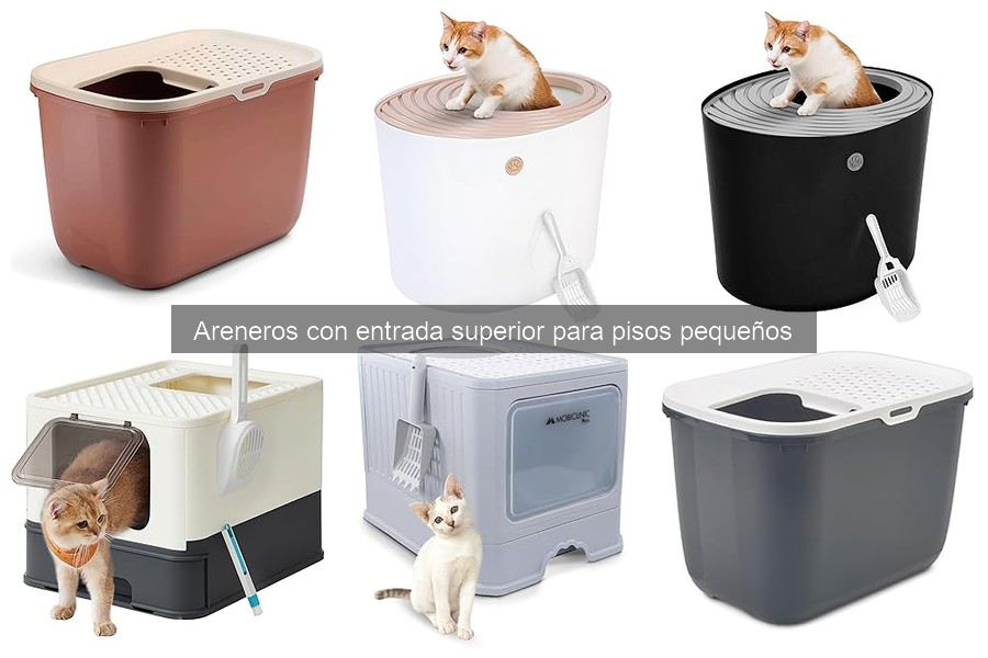 Areneros con entrada superior para gatos grandes: Mejores opciones