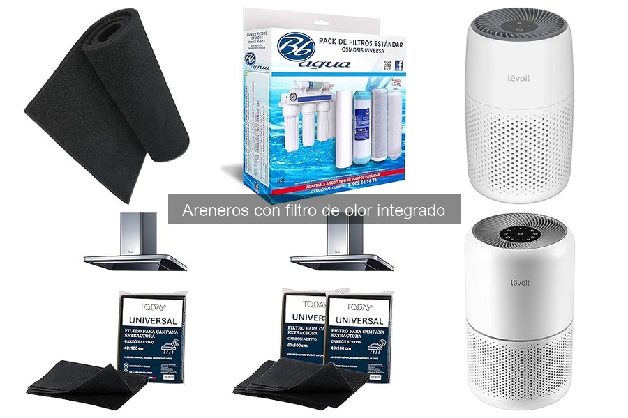 Areneros con filtro de olor: baratos vs. de alta gama