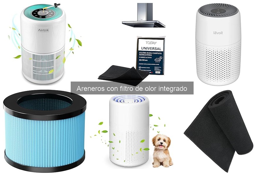 Areneros con filtro de olor: ventajas y características