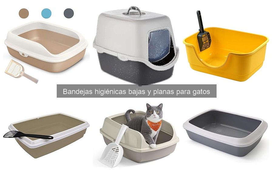 Bandejas Higiénicas Bajas para Gatos: ¿Qué Son y Características?