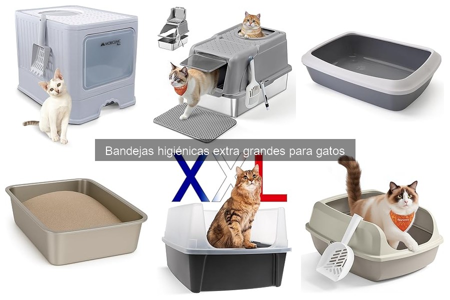 Bandejas Higiénicas Extra Grandes para Gatos: Guía Introductoria