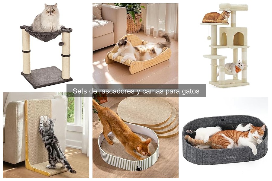 Beneficios de tener una cama para gatos en casa