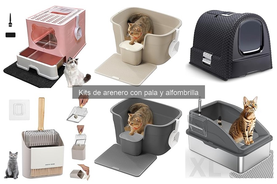 Beneficios del Kit de Arenero con Pala y Alfombrilla