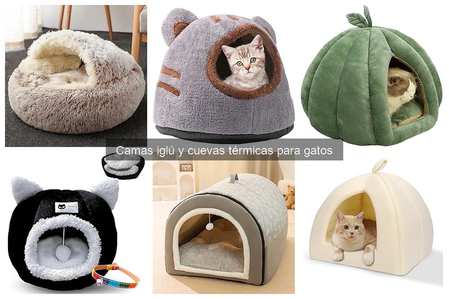 Camas iglú: ¿son adecuadas para gatos mayores o con movilidad reducida?