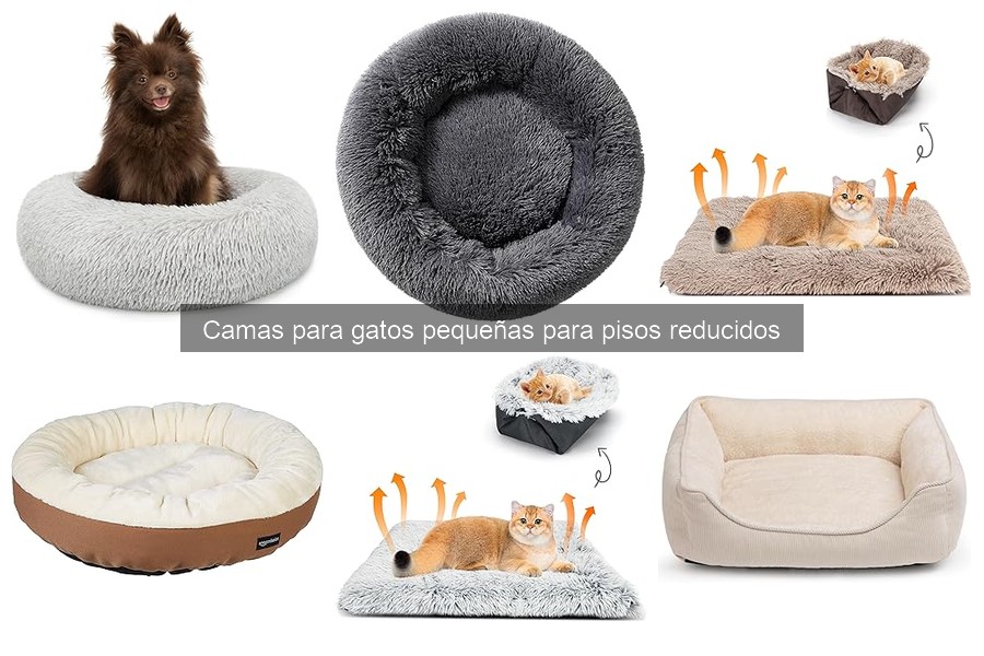 Camas para Gatos Pequeñas que Son Muebles para Pisos Reducidos