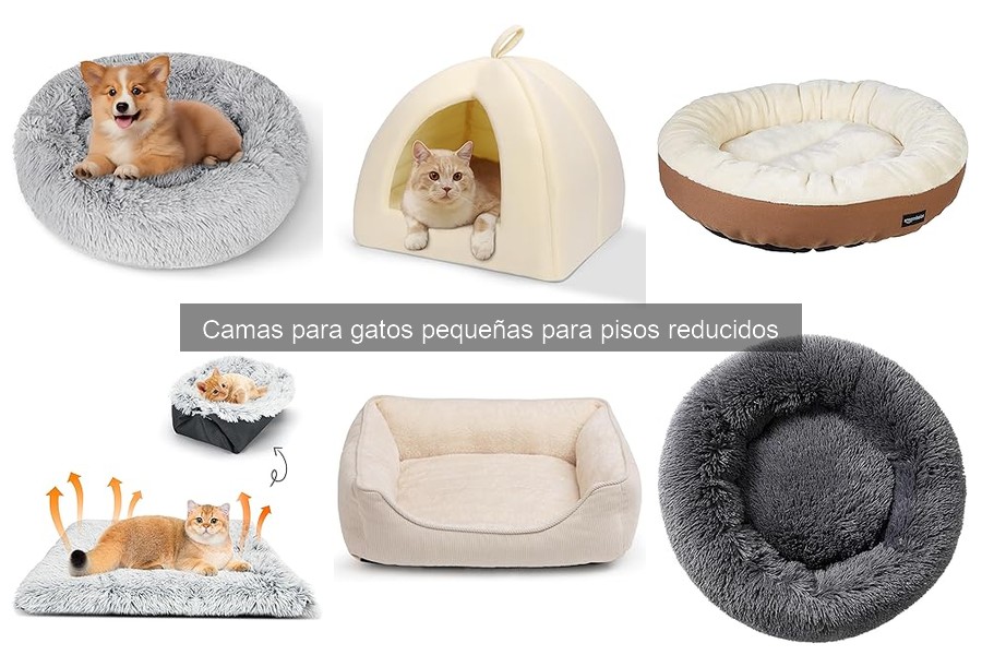 Camas pequeñas para gatos: características y beneficios