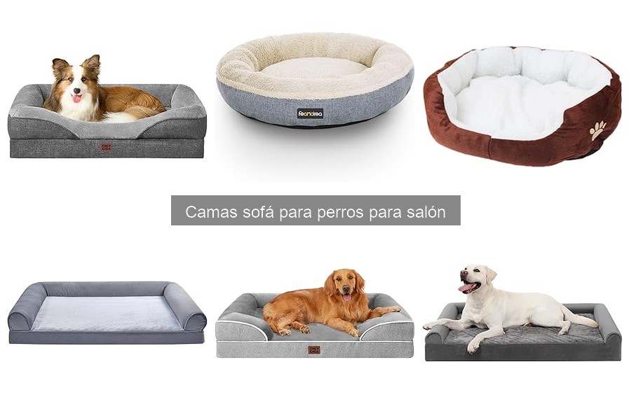 Camas sofá para perros: ¿Qué son y sus características?