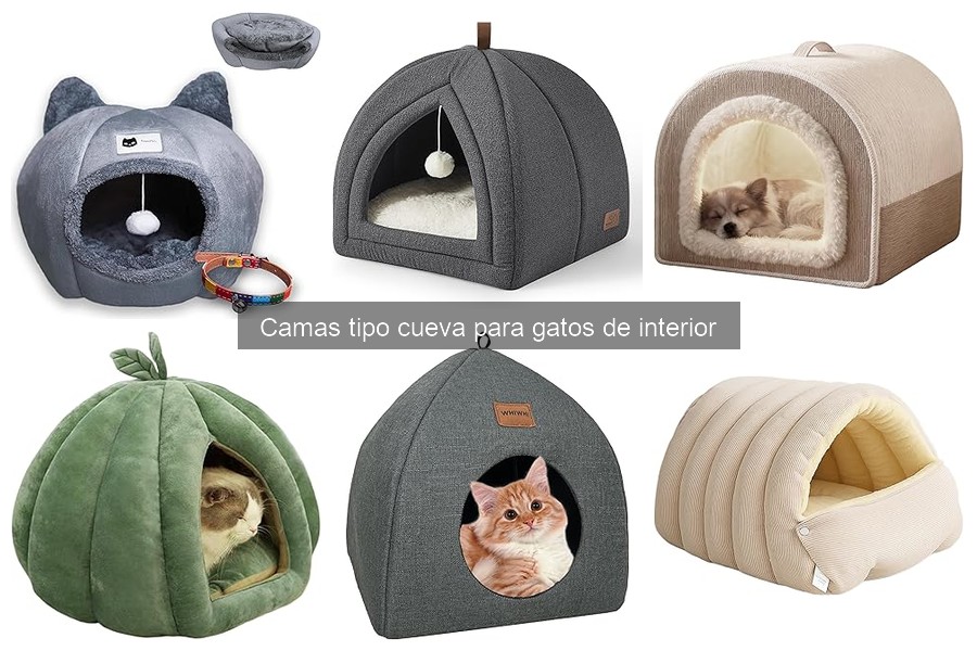 Camas tipo cueva para gatos: ¿Qué son y sus beneficios?