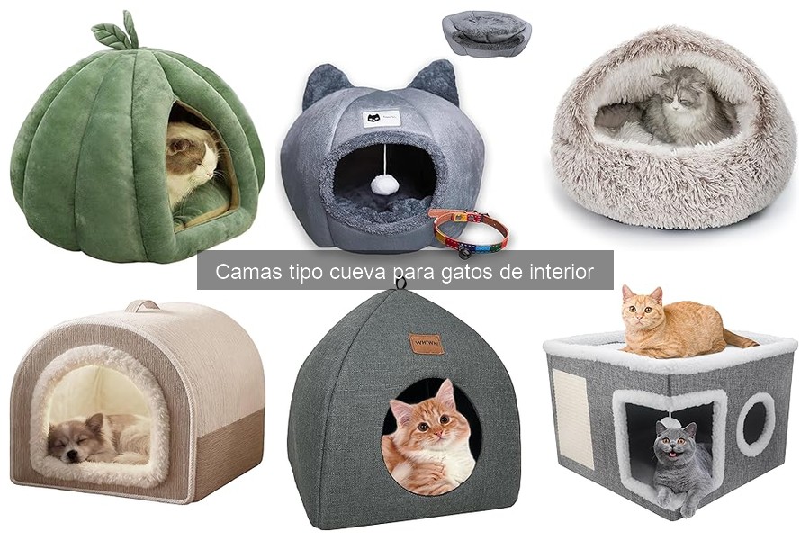 Camas tipo cueva: ¿Son adecuadas para gatos jóvenes y ancianos?