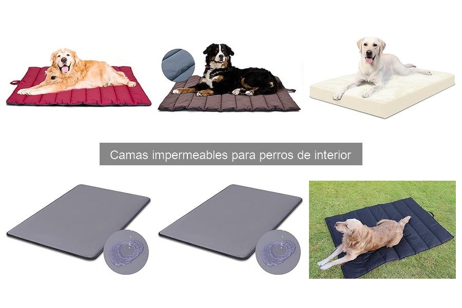 Cómo adaptar camas impermeables para perros a tu hogar