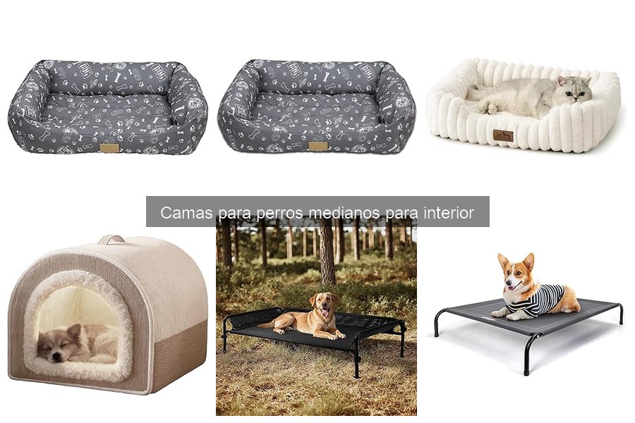 Cómo Aprovechar Espacios Pequeños para la Cama de tu Perro
