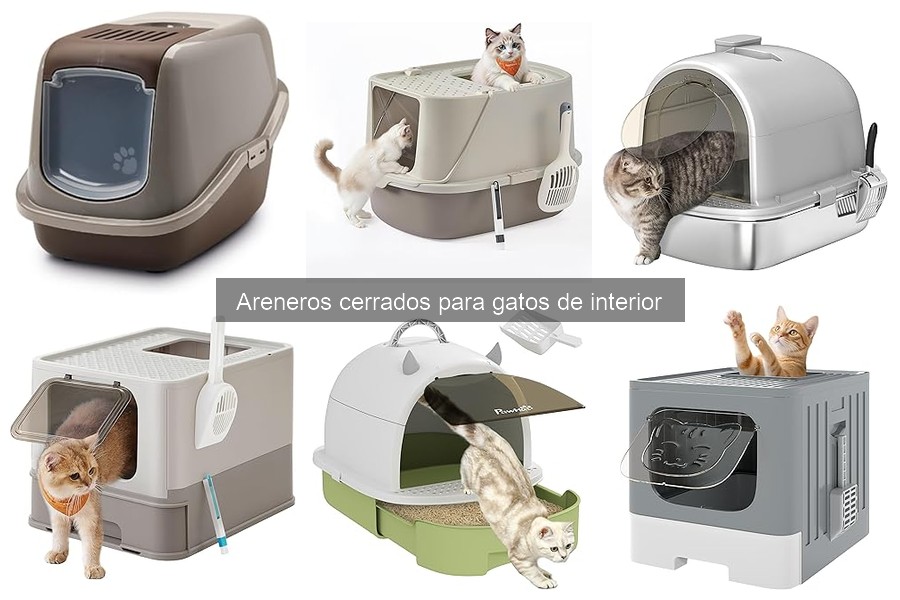 Cómo elegir el arenero cerrado ideal para tu gato