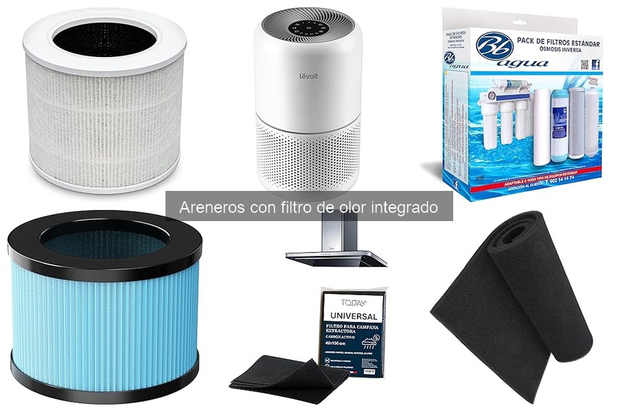 Cómo elegir el arenero con filtro de olor para mi gato