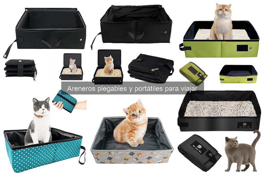 Cómo elegir el arenero portátil perfecto para tu mascota