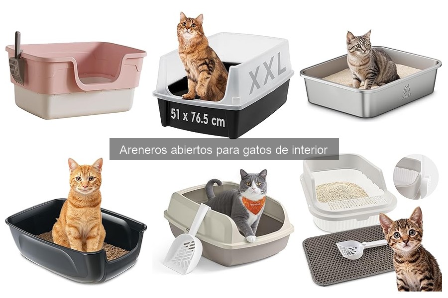 Cómo elegir el mejor arenero abierto para tu gato