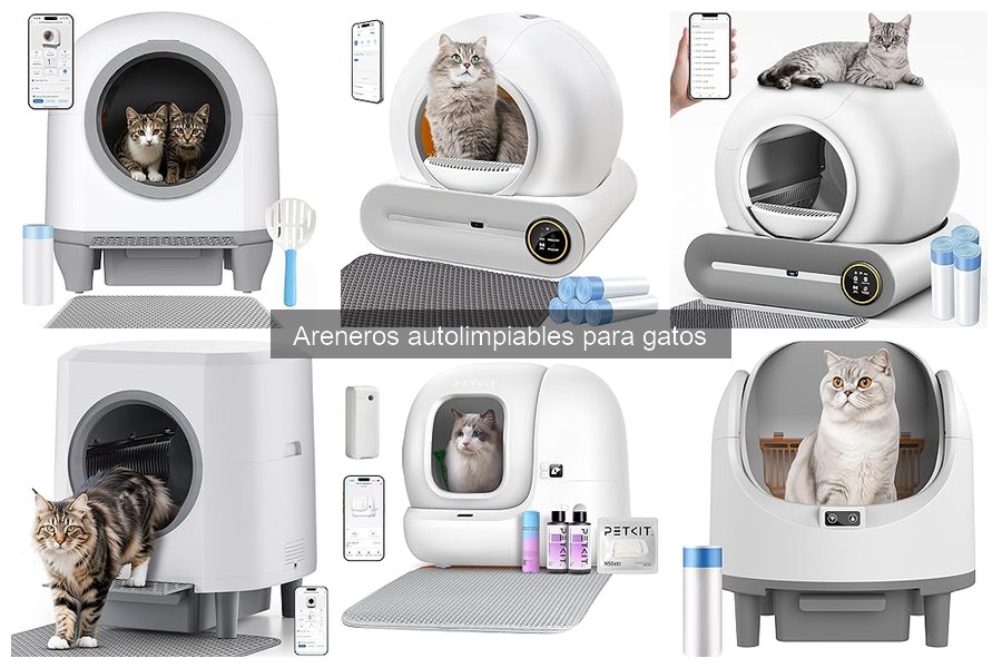 ¿Cómo elegir el mejor arenero autolimpiable para gatos?