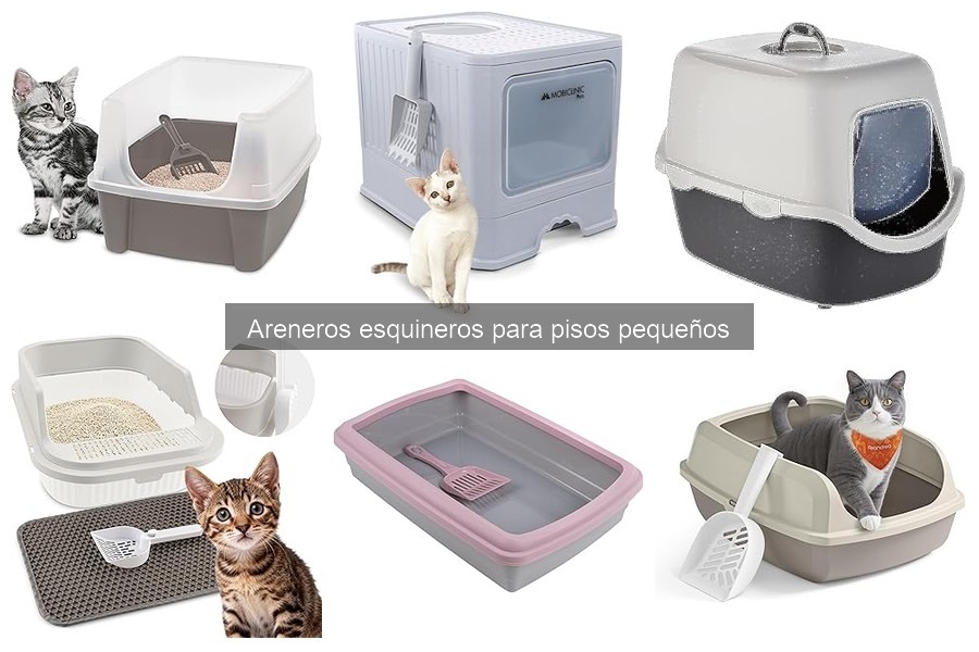 Cómo elegir el mejor arenero esquinero para tu gato