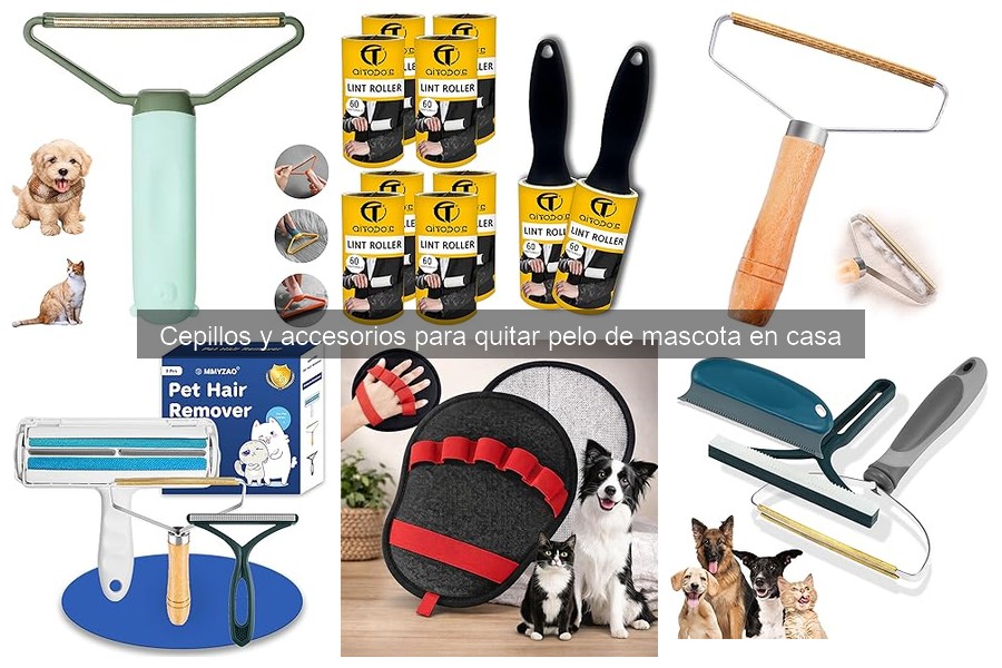 Cómo elegir el mejor cepillo para el pelo de tu mascota