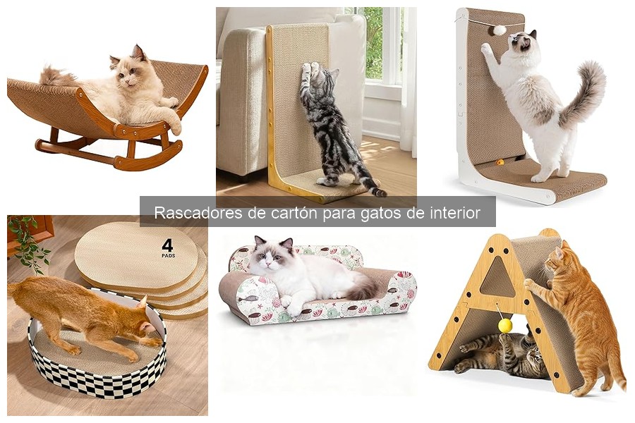 Cómo elegir el mejor rascador de cartón para gatos