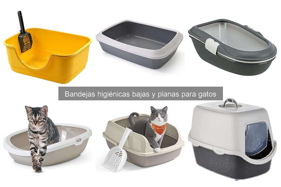 Cómo elegir la bandeja higiénica ideal para tu gato