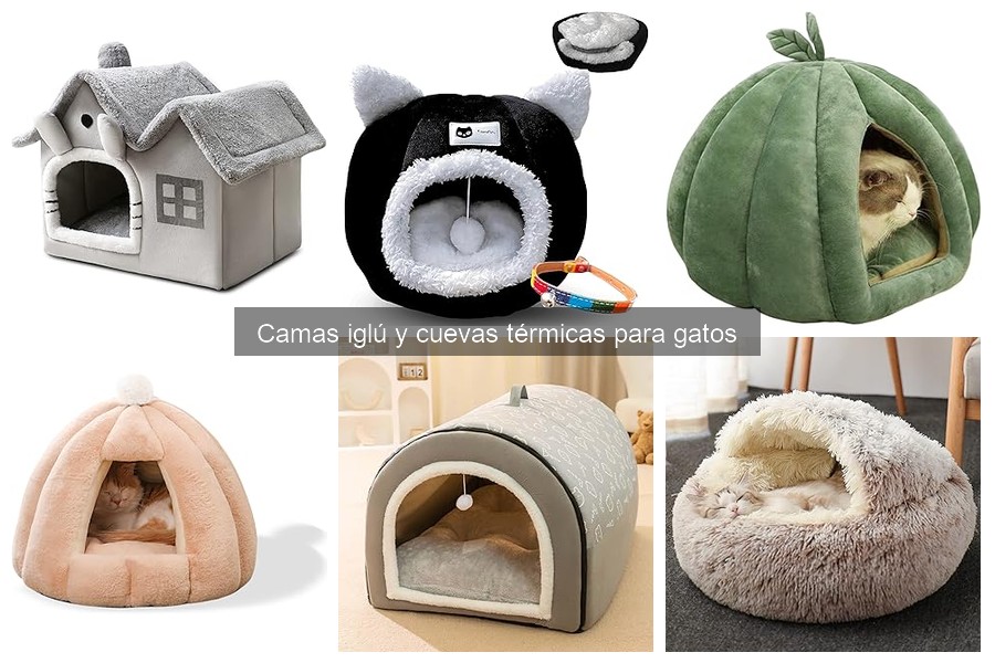 Cómo elegir la cama iglú perfecta para tu gato