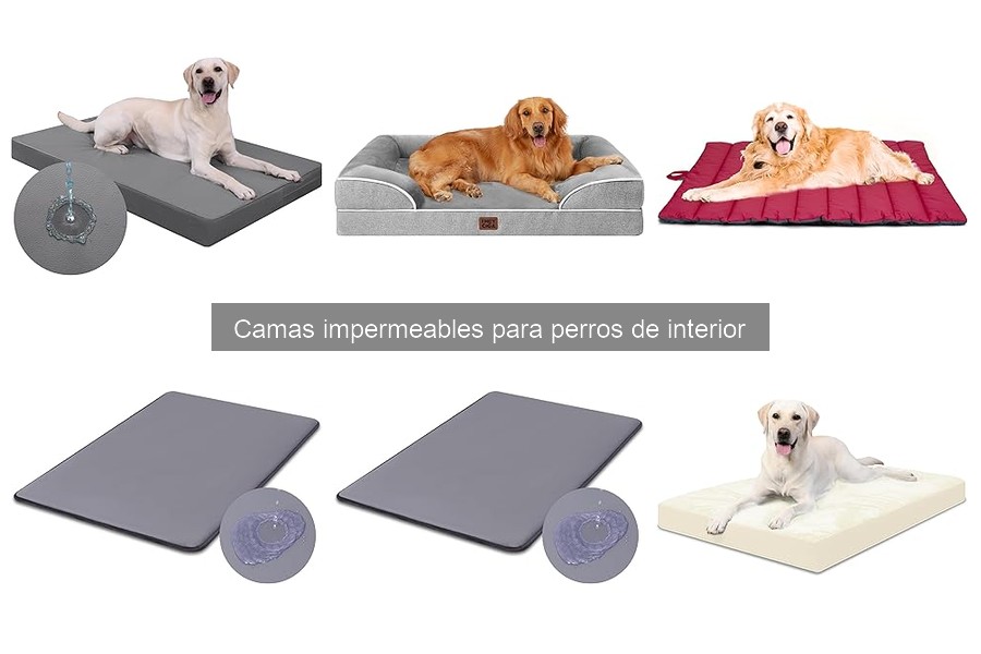 Cómo elegir la cama impermeable perfecta para tu perro