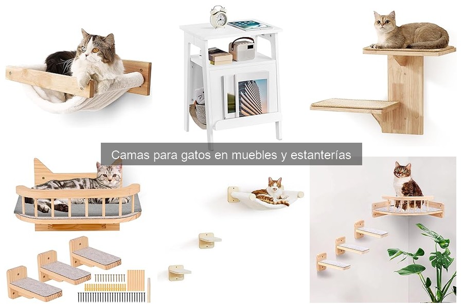 ¿Cómo elegir la cama perfecta para gatos en muebles y estanterías?