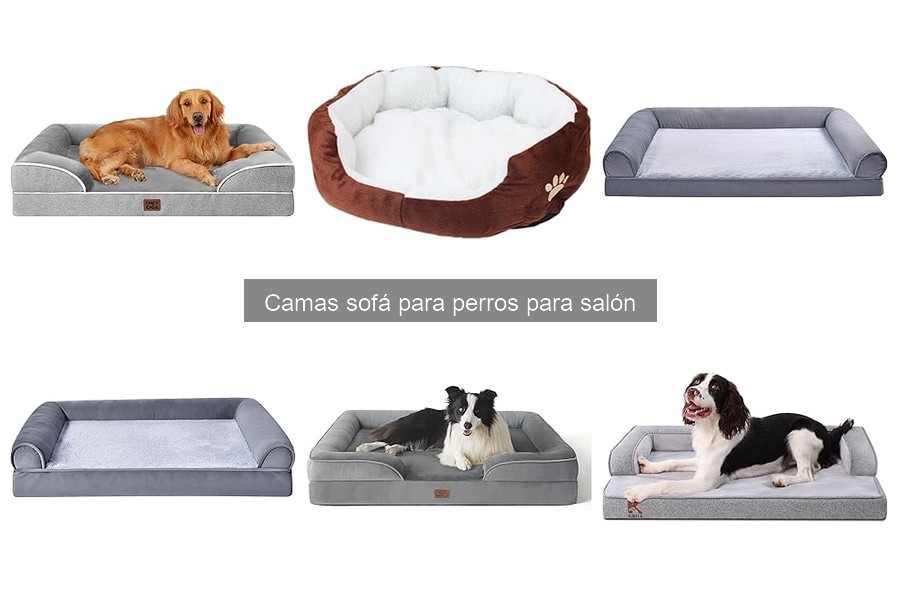 Cómo elegir la cama sofá para perro ideal | Guía práctica