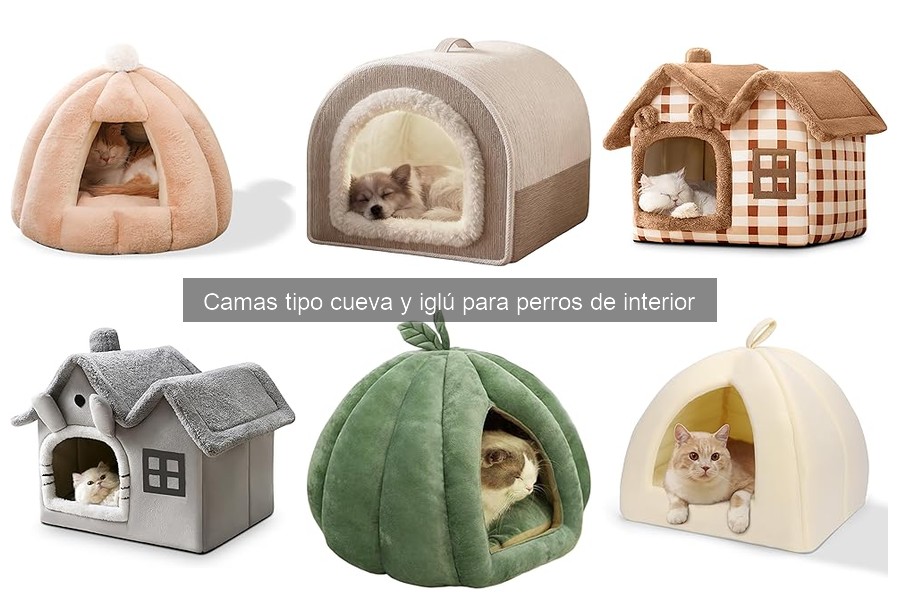 Cómo elegir la cama tipo cueva ideal para tu perro