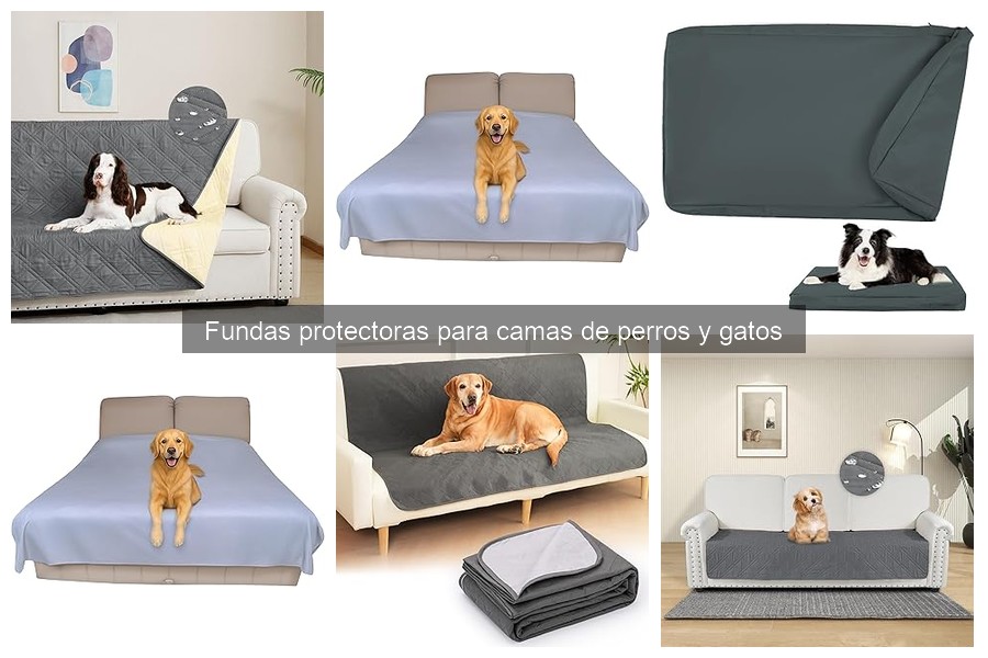 Cómo Elegir la Funda Protectora Ideal para la Cama de tu Mascota
