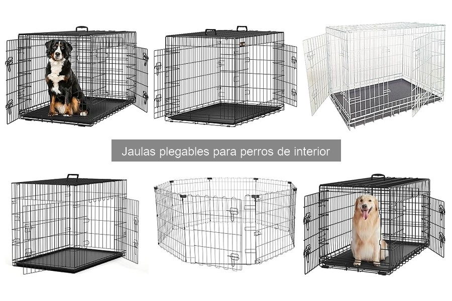 Cómo elegir la jaula plegable perfecta para tu perro