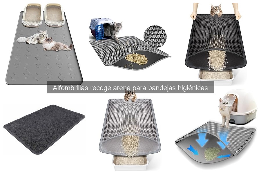 Cómo elegir la mejor alfombrilla recoge arena para mascotas