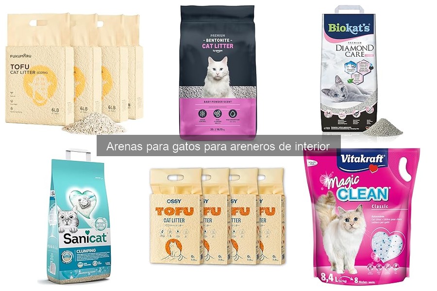 Cómo elegir la mejor arena para gatos en casa