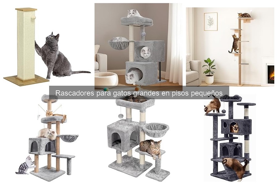 Cómo elegir un rascador para gatos grandes en pisos pequeños