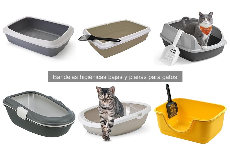 Cómo enseñar a mi gato a usar una bandeja higiénica plana