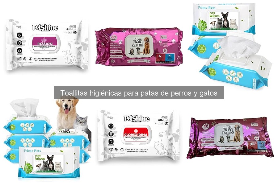 Cómo Evitar Irritaciones en las Patas de Mascotas con Toallitas