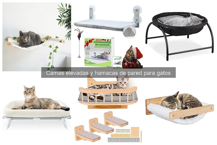 Cómo hacer que tu gato use la hamaca de pared