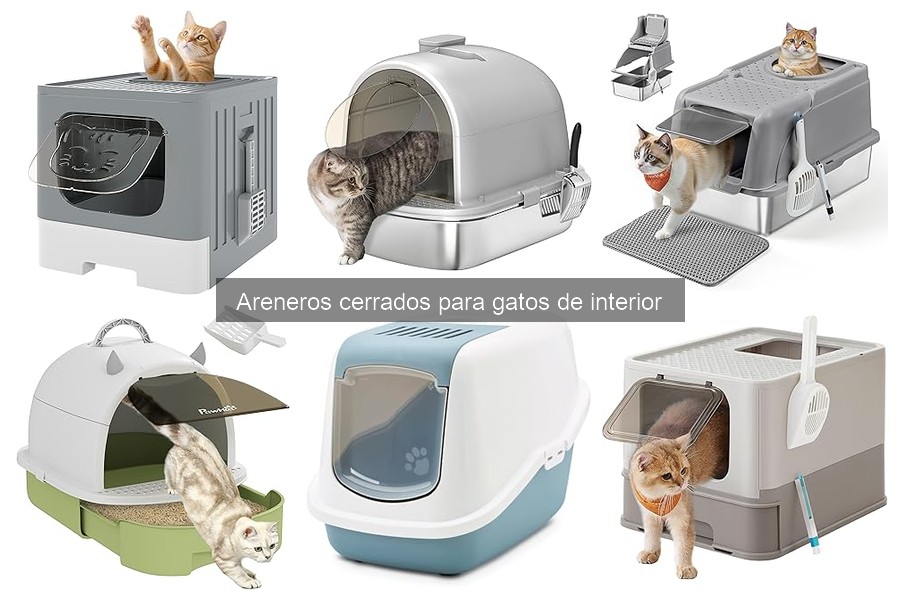 Cómo instalar areneros cerrados para gatos en casa