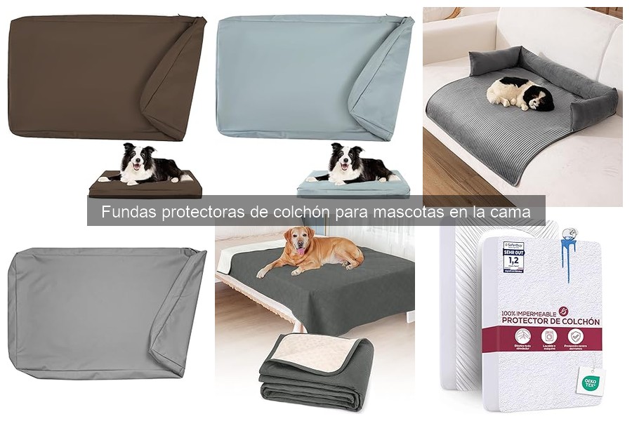 Cómo instalar fundas protectoras de colchón para mascotas