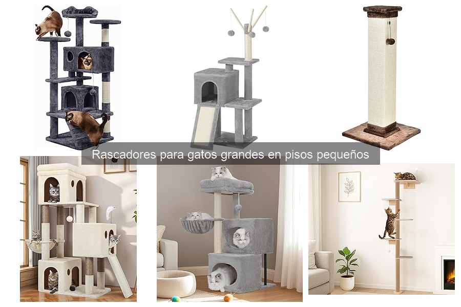 Cómo Instalar Rascadores para Gatos Grandes en Pisos Pequeños