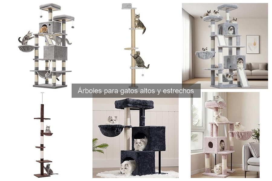 Cómo instalar un árbol para gatos en espacios pequeños