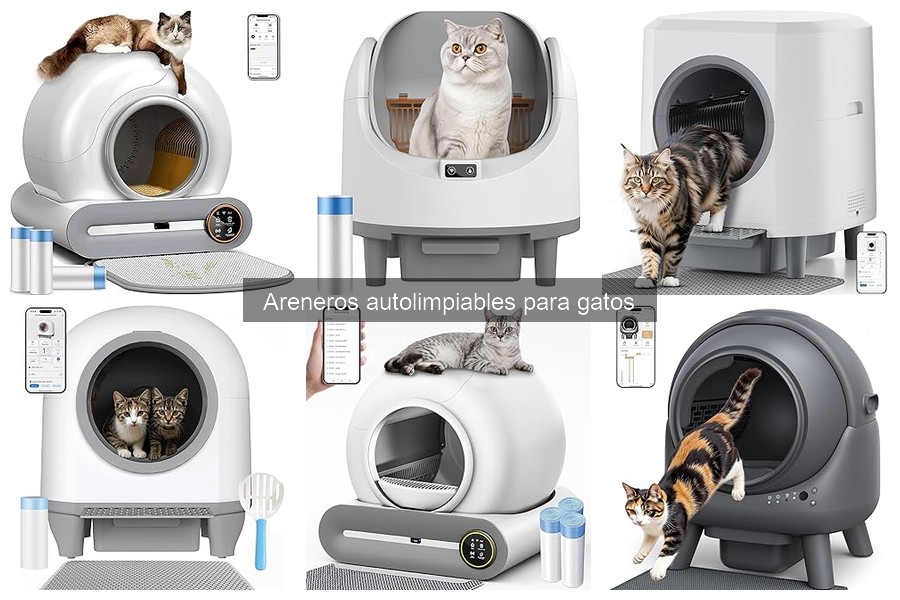 Cómo Instalar un Arenero Autolimpiable para Gatos