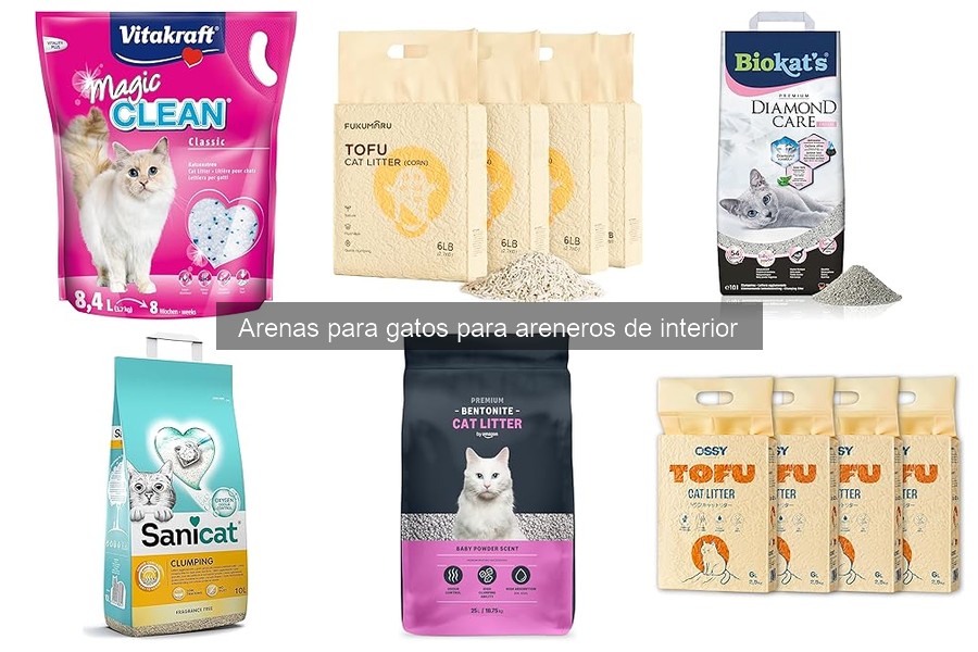 Cómo instalar un arenero para gatos en casa fácilmente