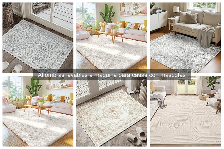 ** Cómo instalar y cuidar alfombras lavables para mascotas