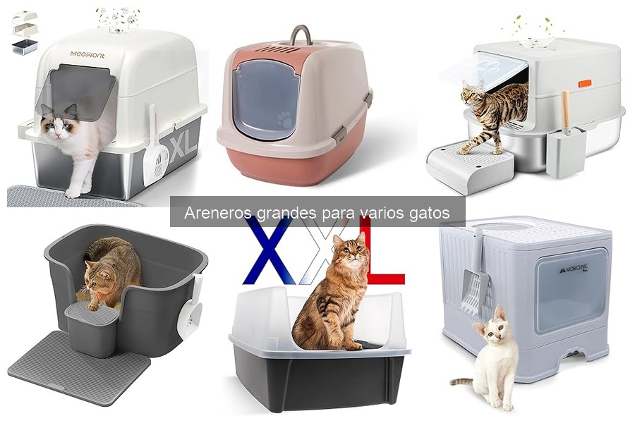 Cómo instalar y mantener un arenero grande para gatos