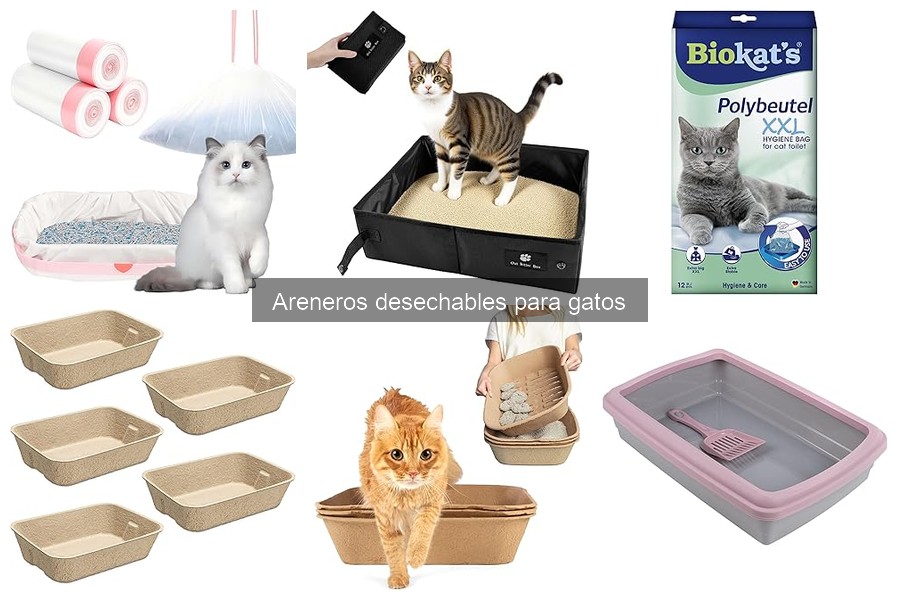 Cómo instalar y usar areneros desechables para gatos
