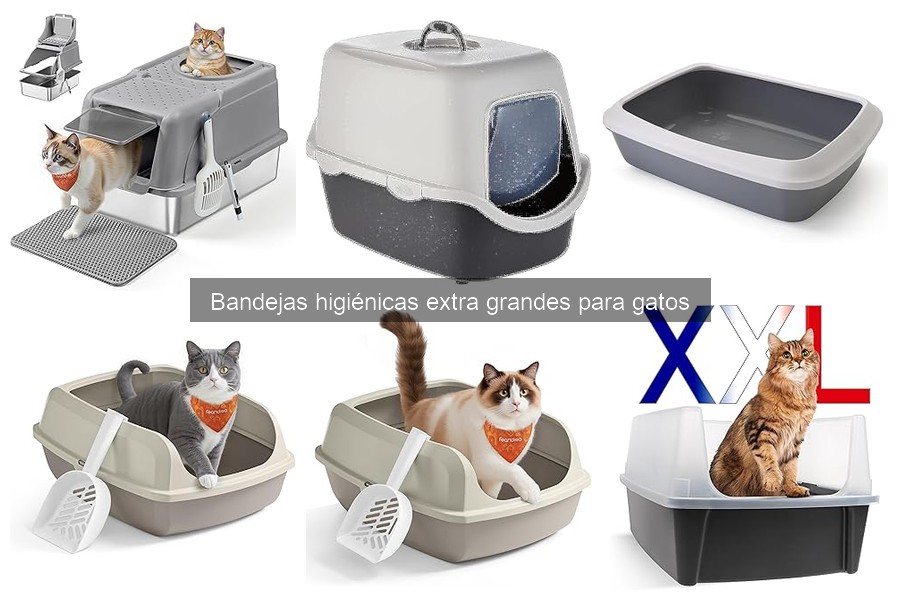 Cómo instalar y usar bandejas higiénicas extra grandes para gatos