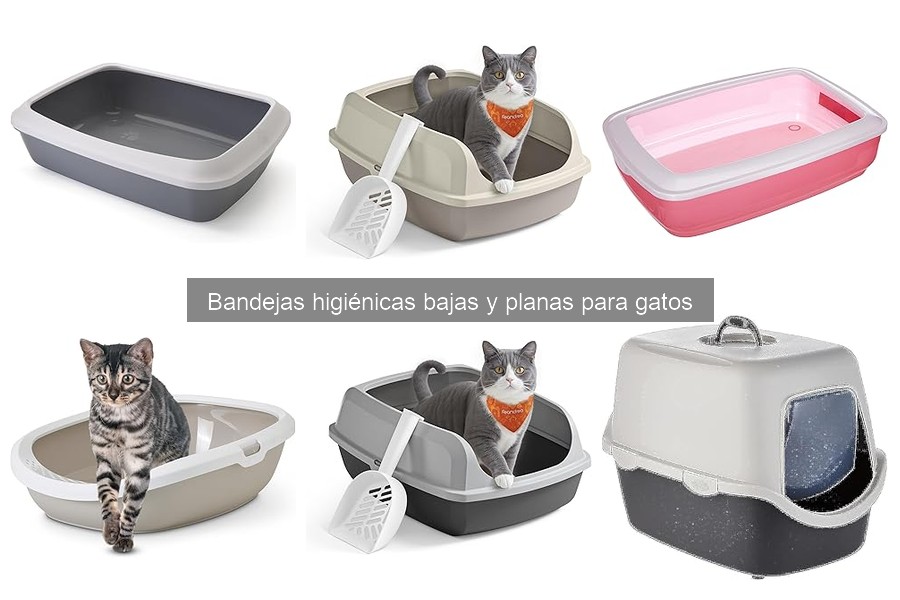 Cómo la Bandeja Higiénica Afecta el Comportamiento del Gato
