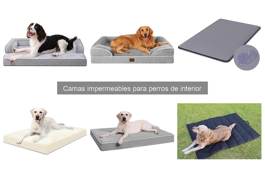 Cómo limpiar camas impermeables para perros | Guía práctica